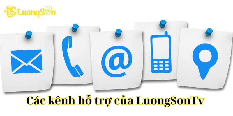 Các kênh hỗ trợ của LuongSonTv 